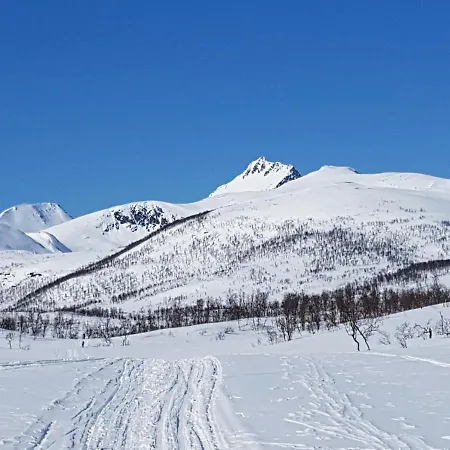 Stunning Location In The Nat Gibostad